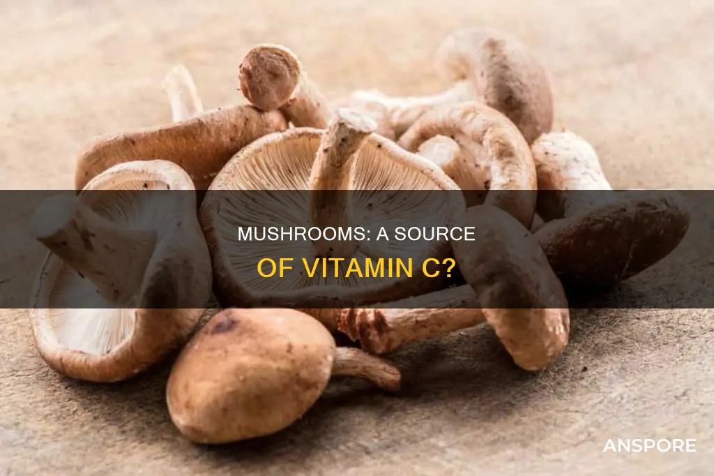 does mushrooms have vitamin c