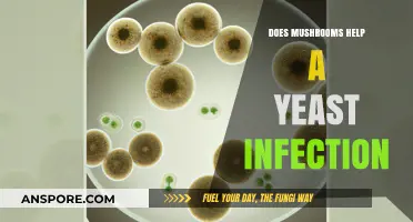 Mushrooms: Natural Remedy for Yeast Infections?