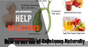 Mushrooms: A Natural Remedy for Gallstones?
