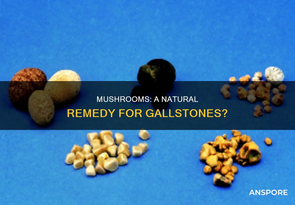 does mushrooms help gallstones