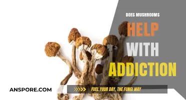 Mushrooms: A Natural Remedy for Addiction?