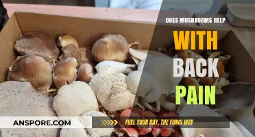 Mushrooms: Natural Relief for Back Pain?