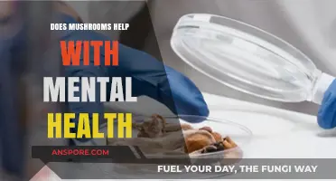 Mushrooms: A Natural Remedy for Mental Health?
