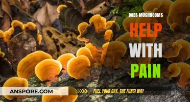 Mushrooms: Natural Pain Relievers?