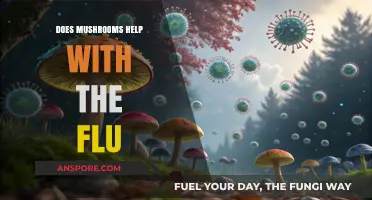 Mushrooms: Natural Flu Fighters?
