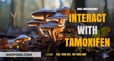 Mushrooms and Tamoxifen: Safe or Not?
