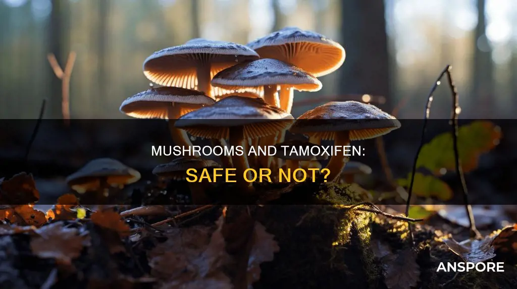 does mushrooms interact with tamoxifen