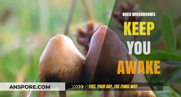 Mushrooms: Friend or Foe of Sleep?