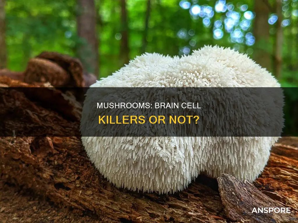 does mushrooms kill brain cells