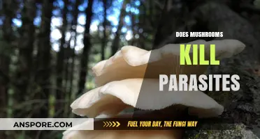 Mushrooms: Natural Parasite Killers?