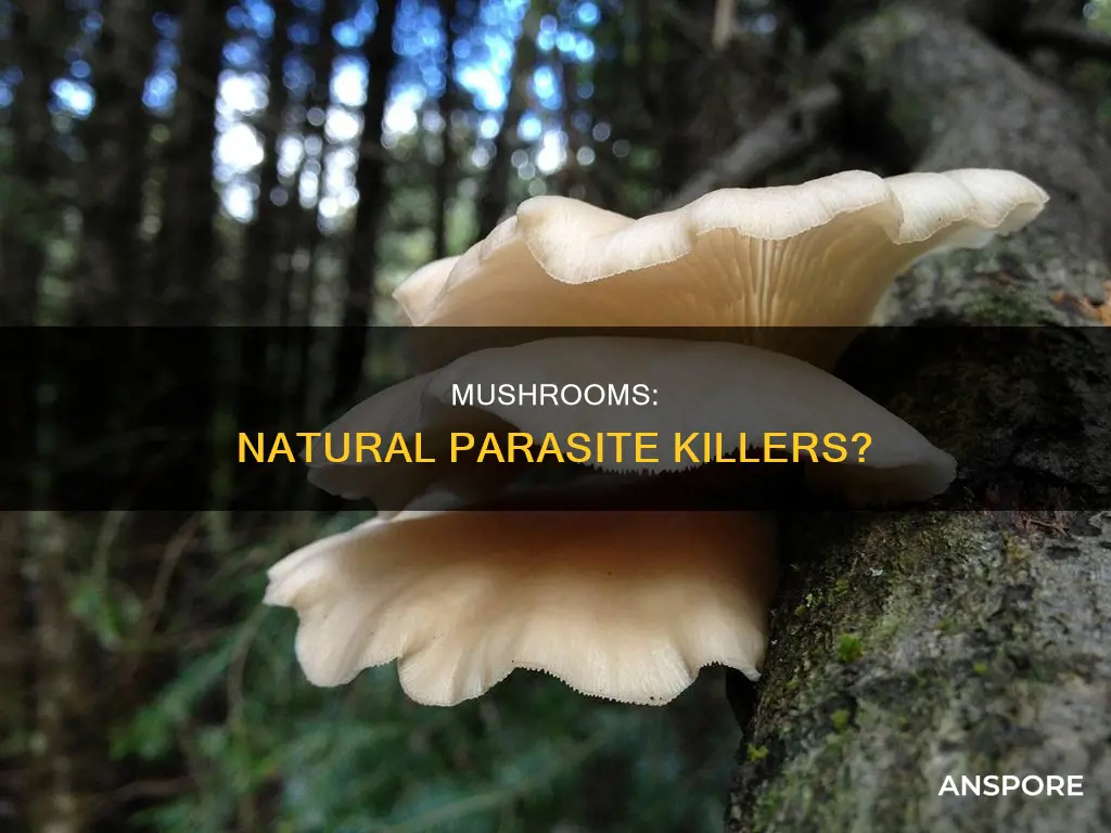 does mushrooms kill parasites