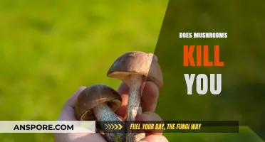 Mushrooms: Can They Be Deadly?