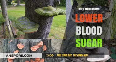 Mushrooms: Natural Blood Sugar Regulators?