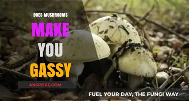 Do Mushrooms Cause Gas? Exploring the Fungal Flatulence Factor