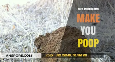 Mushrooms and Digestion: Do They Really Make You Poop More?