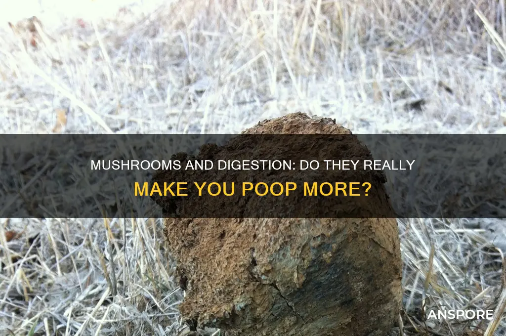 does mushrooms make you poop
