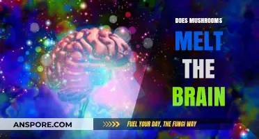 Mushrooms: Brain Melt or Mind Enhancer?