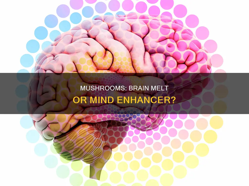 does mushrooms melt the brain