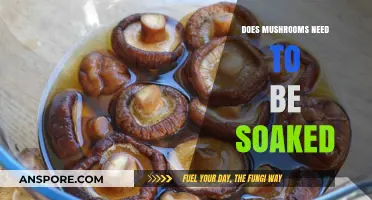 How to Prepare Mushrooms: Soak or Not?