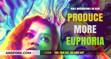 Psychedelics: Euphoria and the Acid-Mushroom Divide