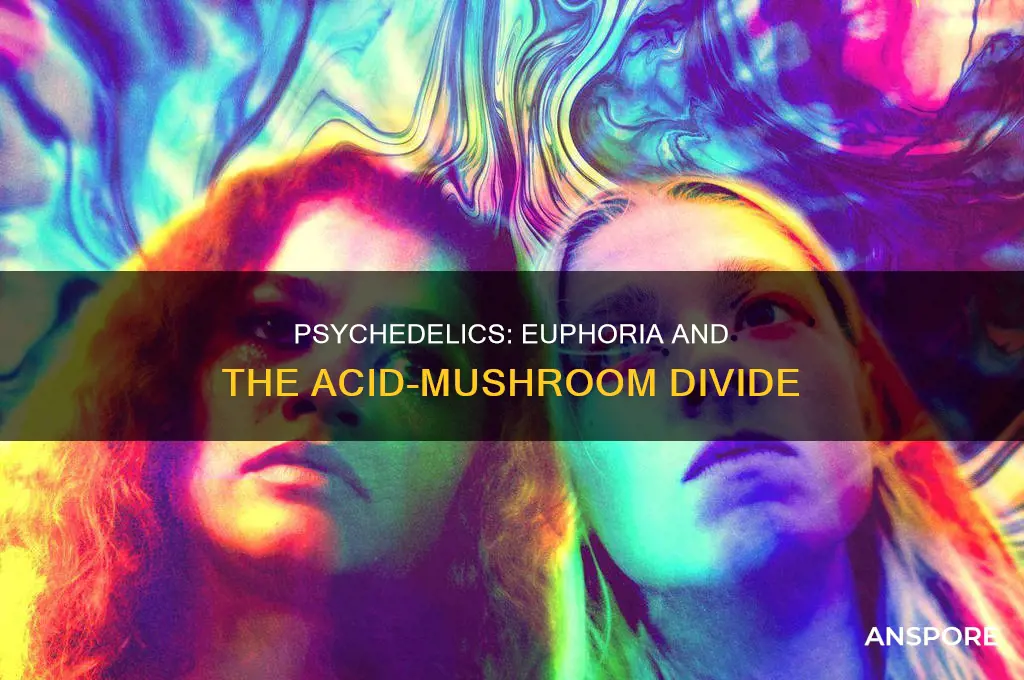 does mushrooms or acid produce more euphoria