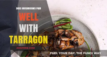 Mushroom and Tarragon: A Match Made in Heaven?