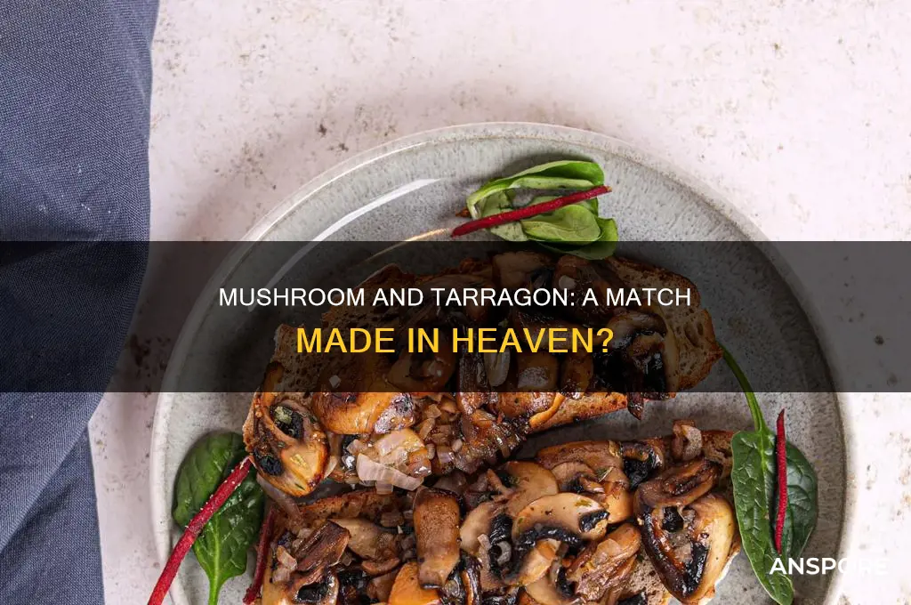does mushrooms pair well with tarragon