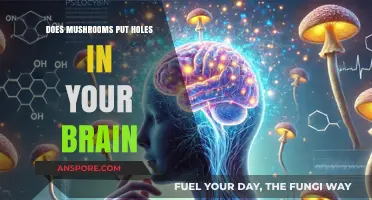 Mushrooms: Brain Holes and Other Myths