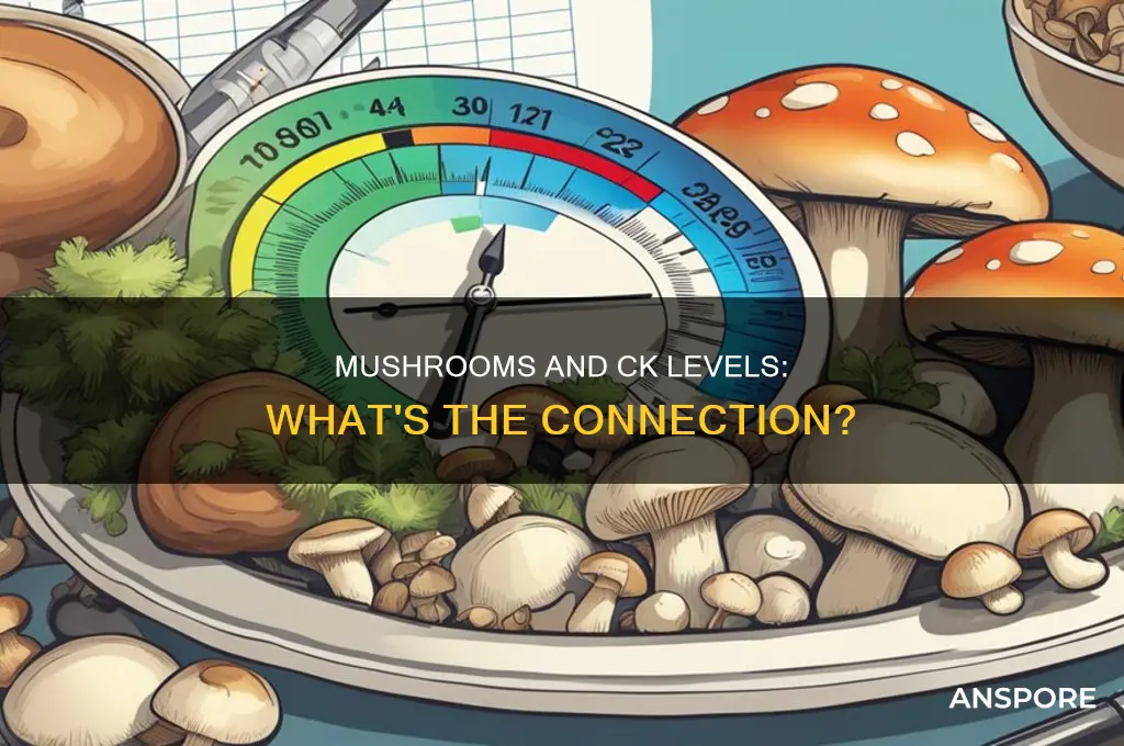 does mushrooms raise ck in the blood