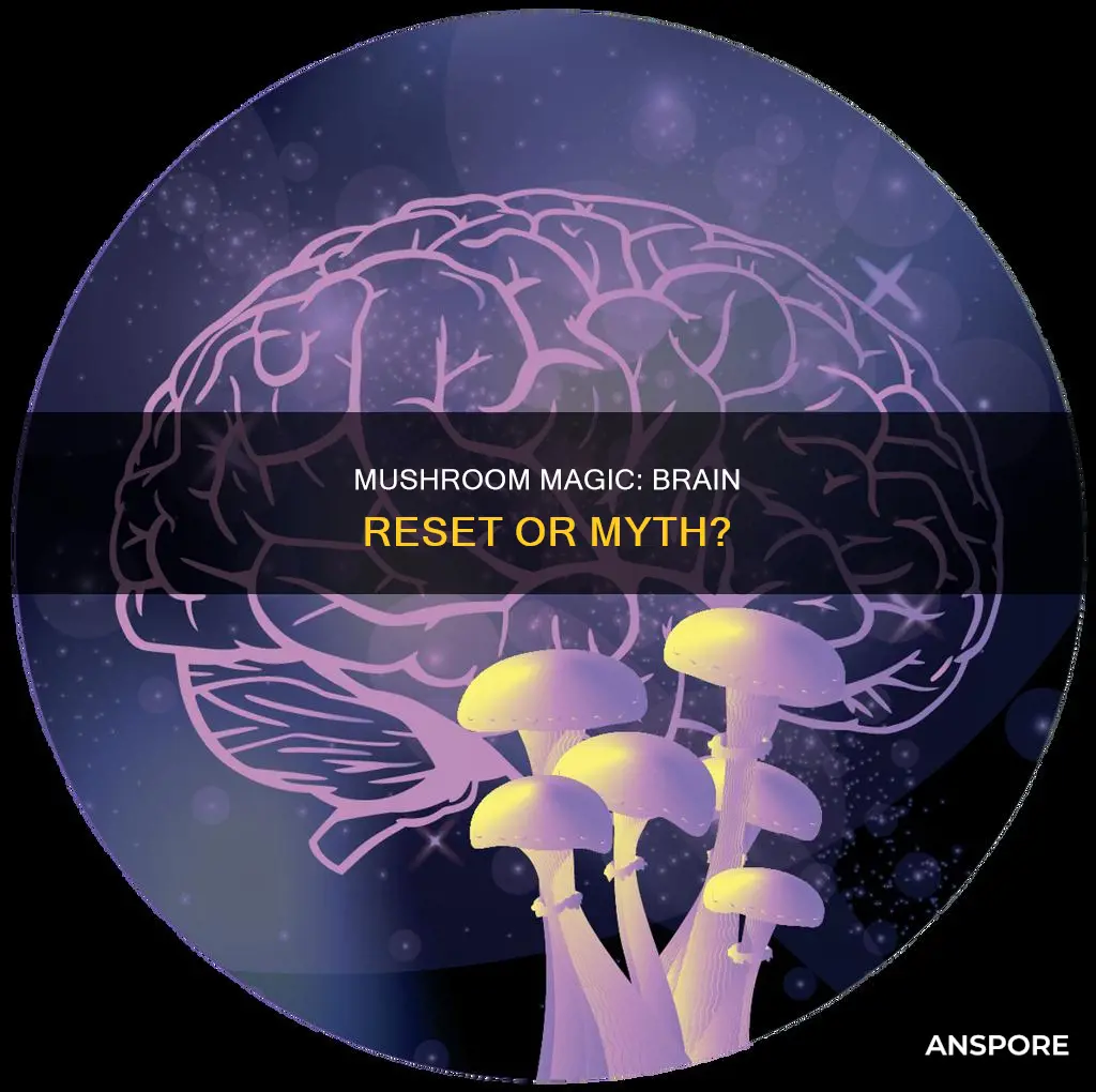 does mushrooms reset your brain
