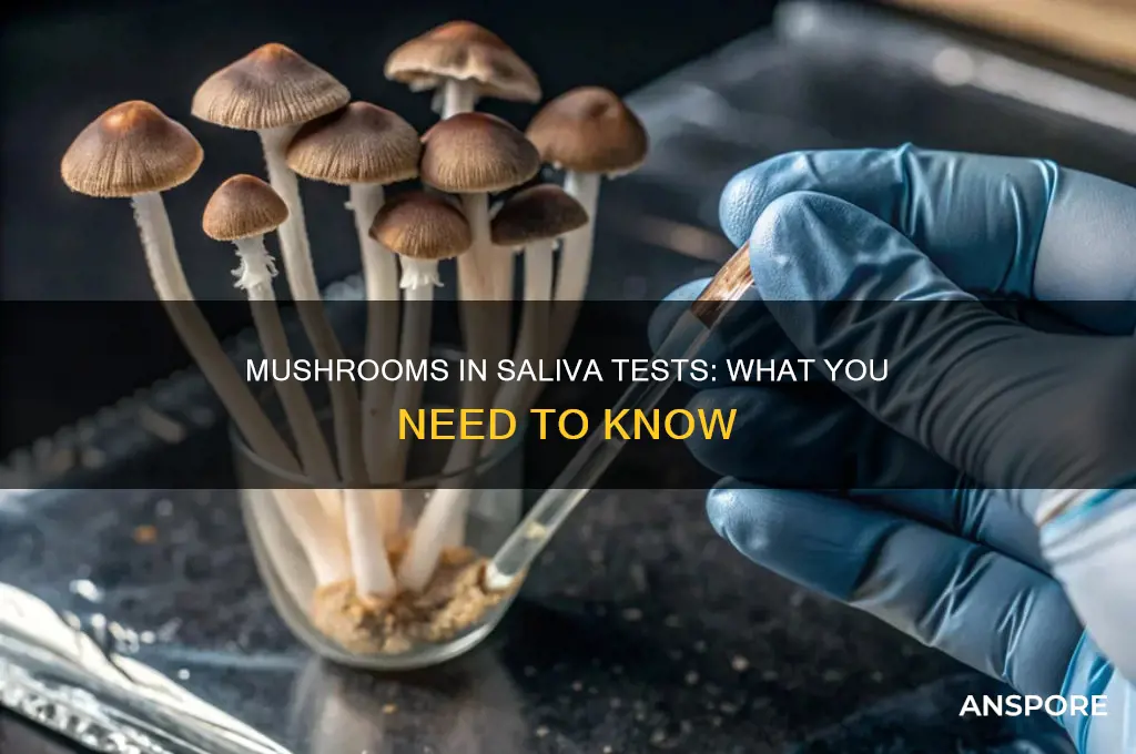 does mushrooms show up in a saliva test