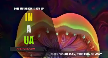 UA Testing: Can Mushrooms Be Detected?