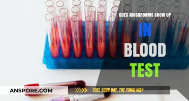 Blood Tests and Mushrooms: What You Need to Know