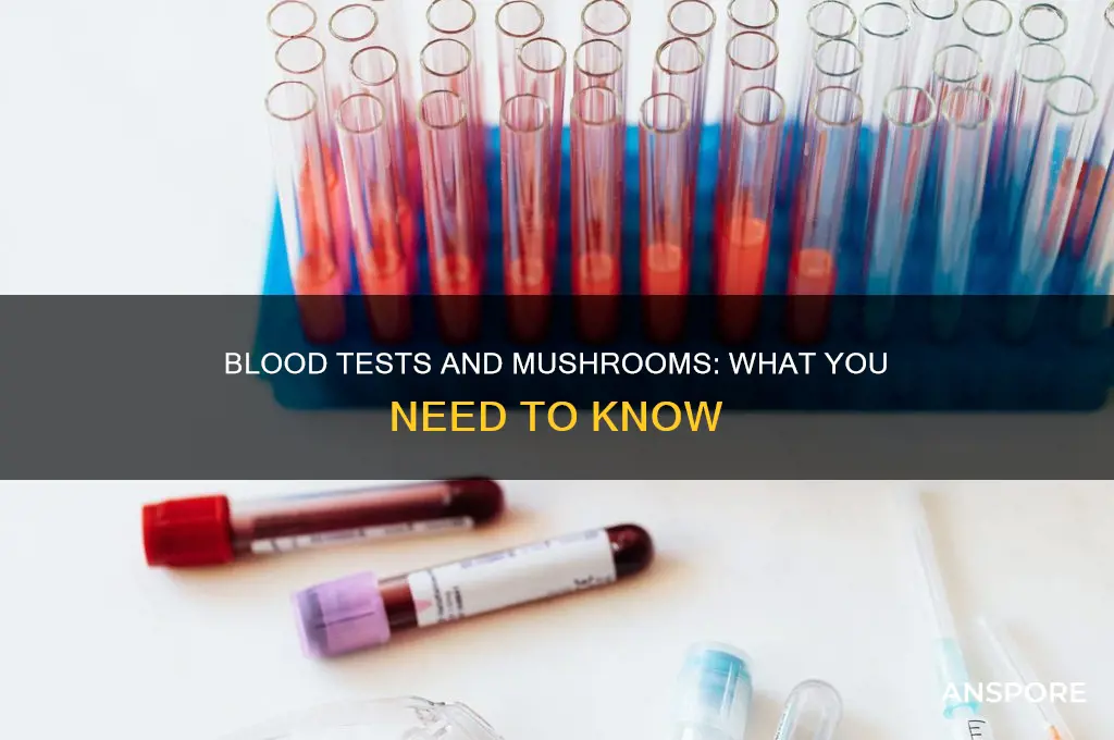 does mushrooms show up in blood test