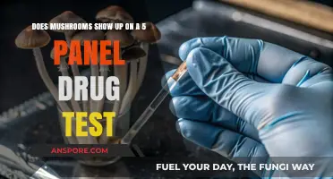 Mushrooms and Drug Tests: What You Need to Know