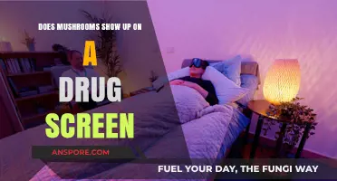 Mushrooms and Drug Tests: What You Need to Know