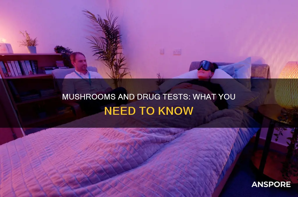 does mushrooms show up on a drug screen