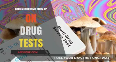 Do Mushrooms Appear on Standard Drug Tests? Facts and Myths