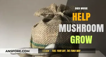 Melodies and Mycelium: Exploring Music's Impact on Mushroom Growth