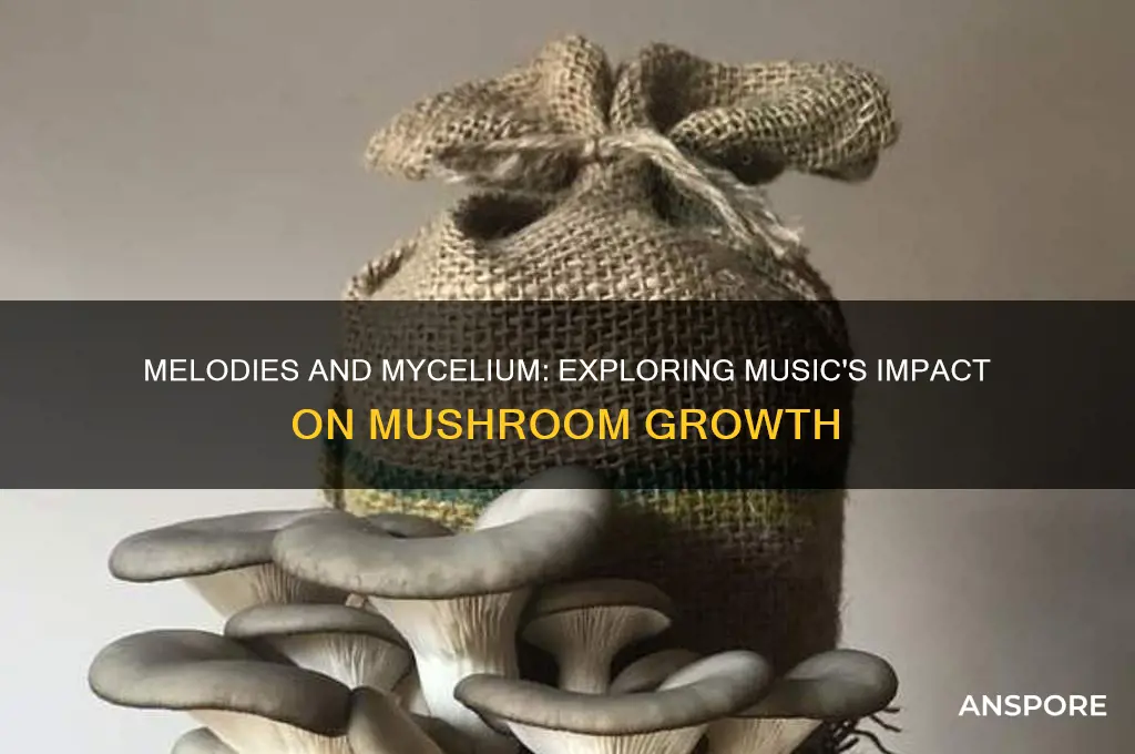 does music help mushrooms grow