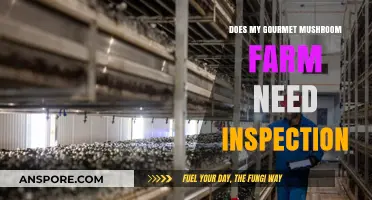 Mushroom Farm Inspections: What You Need to Know