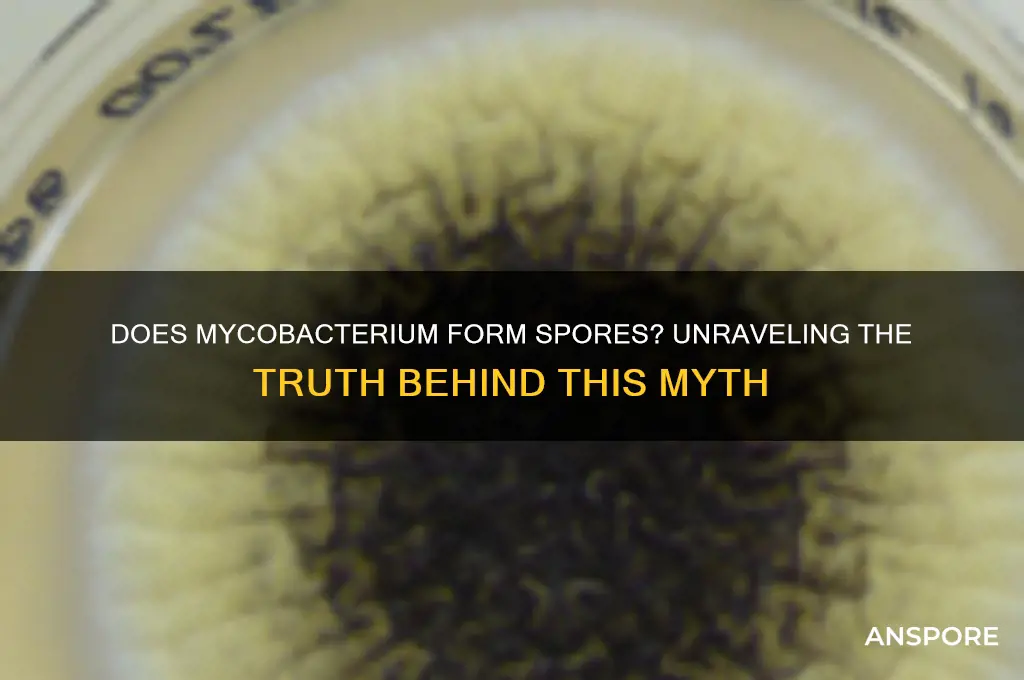 does mycobacterium form spores