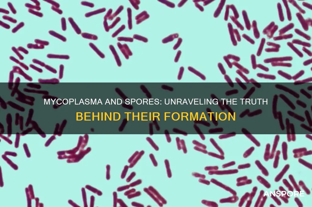 does mycoplasma form spores