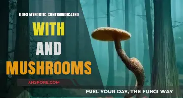 Myfortic and Mushrooms: A Risky Mix?
