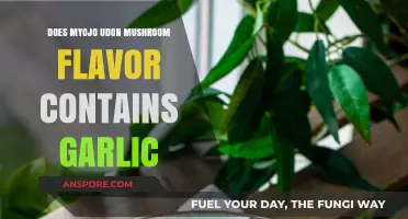 Myojo Udon Mushroom Flavor: Where's the Garlic At?