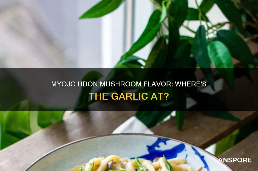 does myojo udon mushroom flavor contains garlic