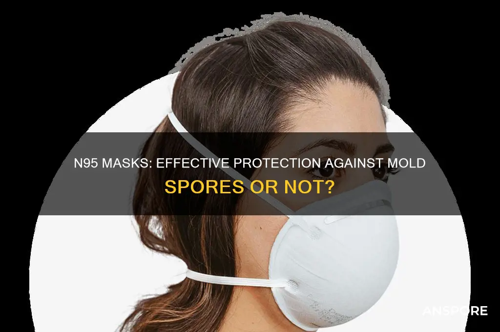 does n95 protect against mold spores