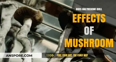 Naltrexone and Magic Mushrooms: A Dulling Effect?