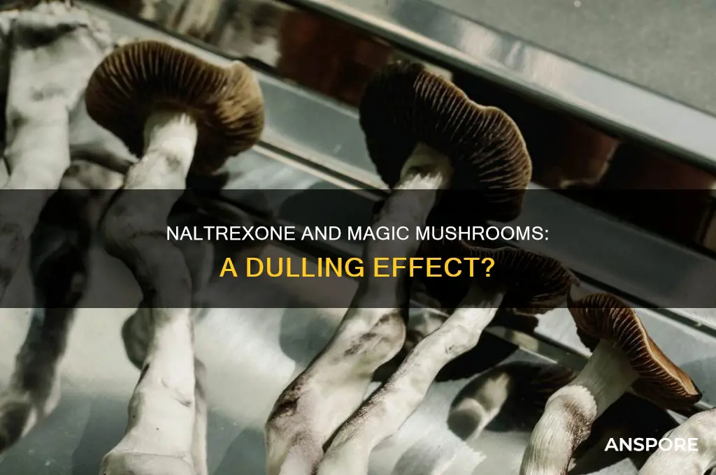 does naltrexone dull effects of mushrooms