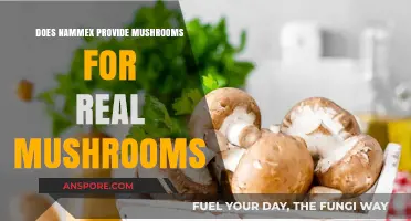 Real Mushrooms and Nammex: Partners in Quality